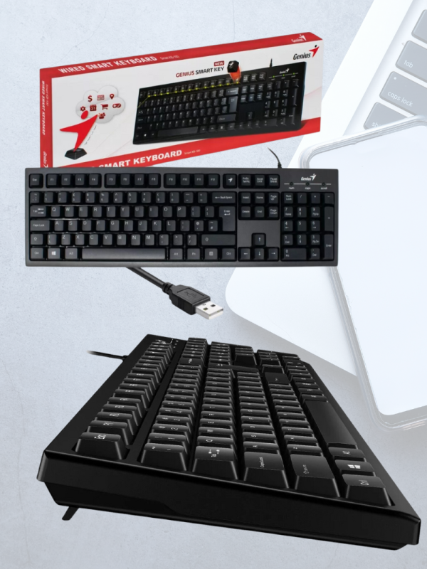 Teclado Genius Smart Kb 100 Kb-100 Usb