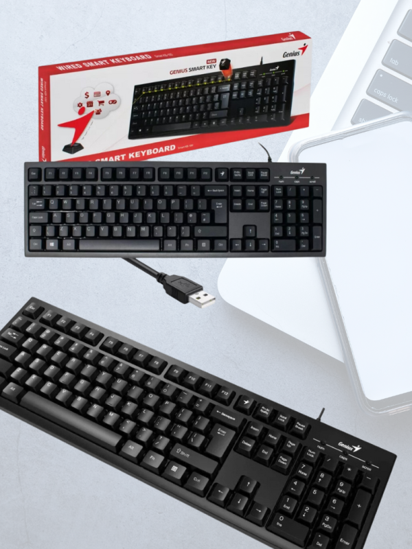 Teclado Genius Smart Kb 100 Kb-100 Usb
