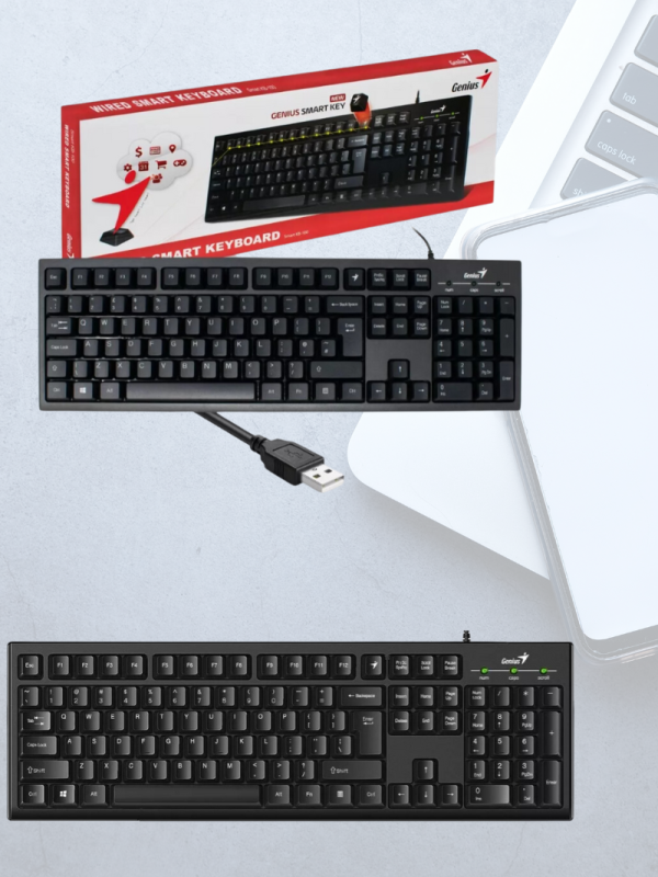Teclado Genius Smart Kb 100 Kb-100 Usb