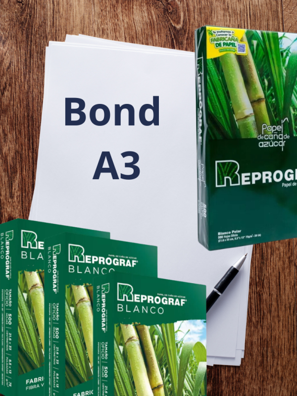 PAPEL BOND DOBLE CARTA 160GRM