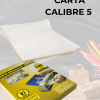 Laminación Carta 100 Bolsillos De Calibre 5